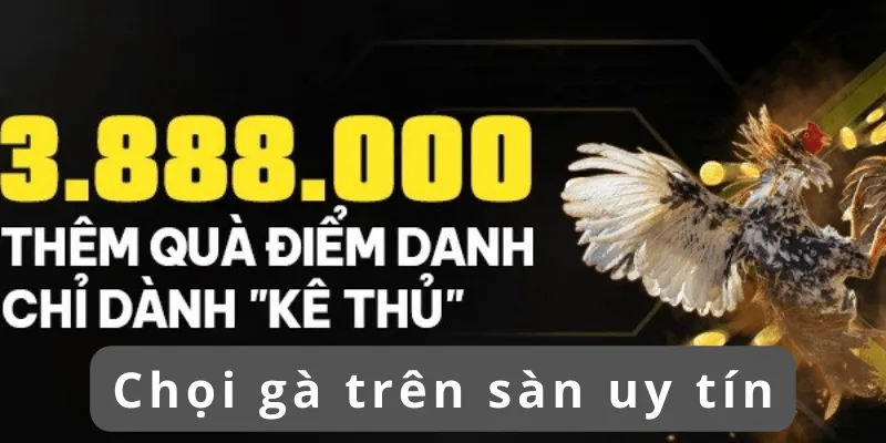 Vảy khai hậu tốt hay xấu và những điều cần biết khi cá độ 3 choi-ga-tren-san-uy-tin